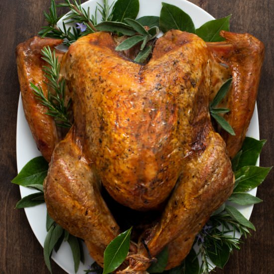 Simple Herby Dry-Brined Turkey - Recipe photo by jillshough