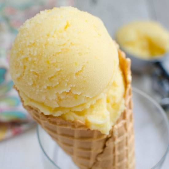 Homemade Orange Sherbet - Recipe photo by fakeginger
