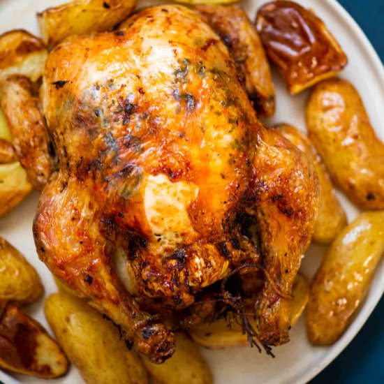 Air Fryer Whole Chicken - Recipe photo by shintasimon
