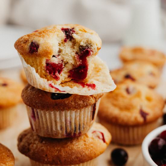 Cranberry White Chocolate Muffins - Recipe photo by alpineella