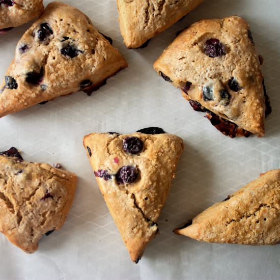 Blueberry Scones - Recipe photo by Earthlysuperfood