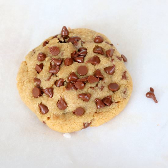 Chocolate Chip Cookie Recipe - Recipe photo by 5 star cookies