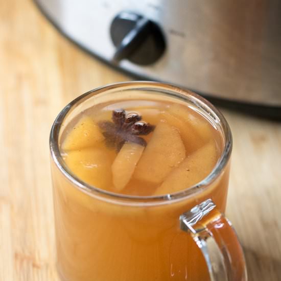 Mulled Cider - Recipe photo by LifesLittleSweets