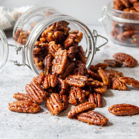 Spiced Pecans - Recipe photo by BeyondtheCoop