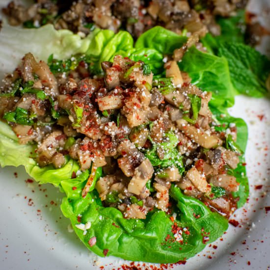 Mushroom Larb - Recipe photo by veganpunks