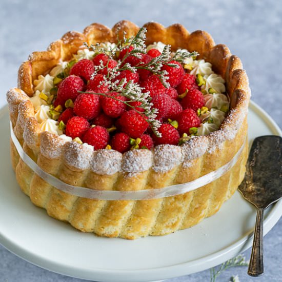 Raspberry Charlotte - Recipe photo by between2kitchens