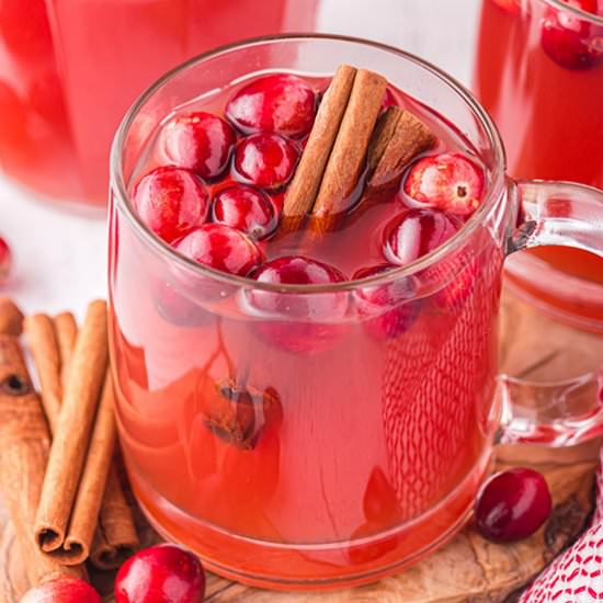 Hot Cranberry Apple Cider - Recipe photo by bellyfull