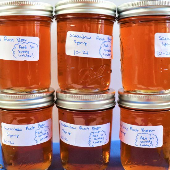 Homemade Sassafras Root Beer Soda - Recipe photo by veryveganval