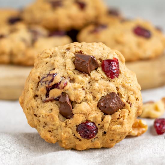 Chocolate Cranberry Oatmeal Cookies - Recipe photo by veggie desserts