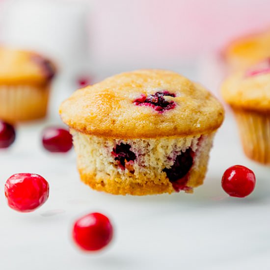 Cranberry Orange Muffins - Recipe photo by ScienceandCrumbs