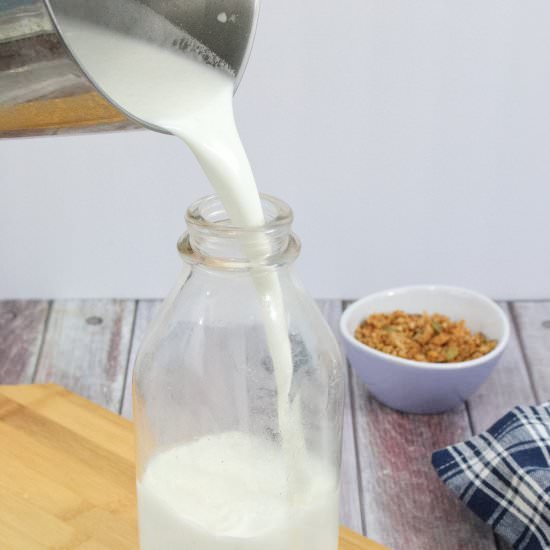 Easy, Creamy, Homemade Hemp Milk - Recipe photo by Fitasamamabear