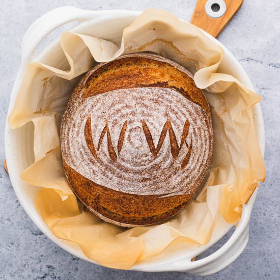No Knead Whole Wheat Bread - Recipe photo by dishnthekitchen