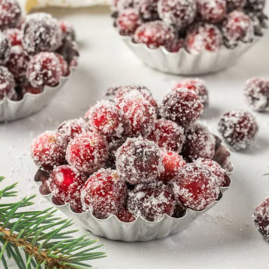 Sugared Cranberries - Recipe photo by Tastes of Homemade