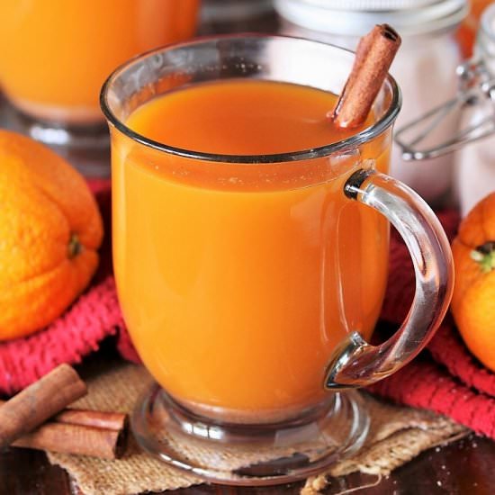 Instant Russian Tea Mix - Recipe photo by thekitchenismyplayground