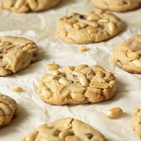 Peanutty Peanut Butter Cookies - Recipe photo by GarlicGirl