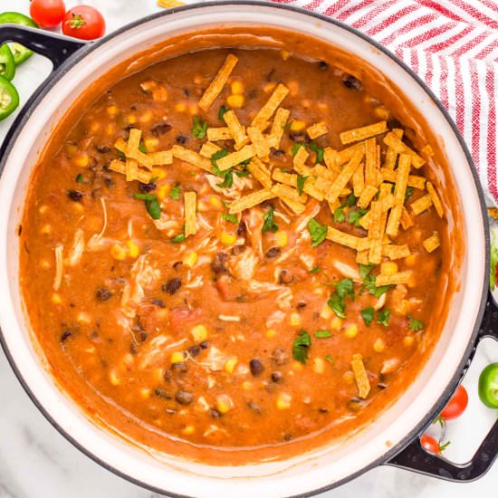 Chicken Enchilada Soup - Recipe photo by simplejoy