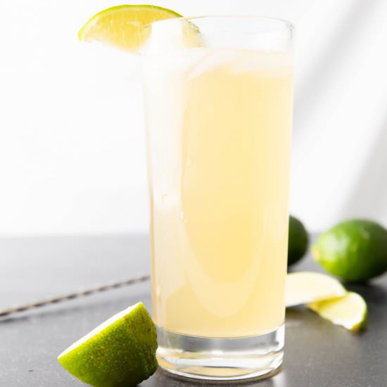 Tennessee Mule - Recipe photo by beamingbaker