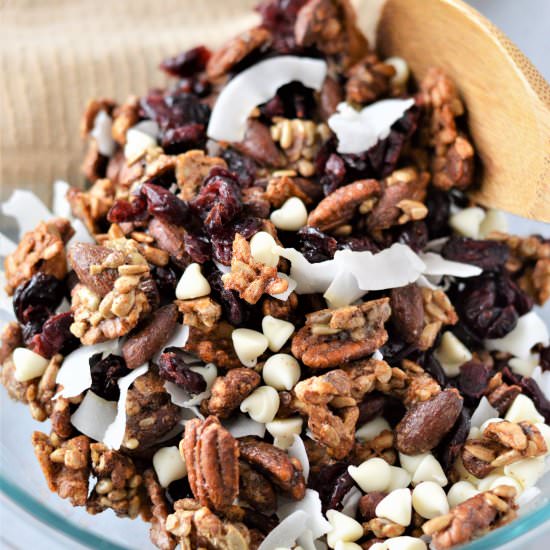 LOW-CARB TRAIL MIX WITH CRANBERRIES - Recipe photo by Stylish Cravings