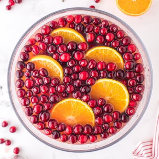 Spiced Cranberry Punch - Recipe photo by simplystacie
