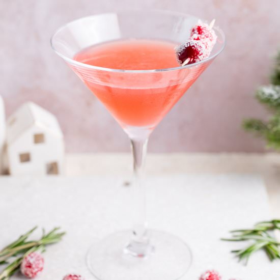 cranberry martini - Recipe photo by everyday-delicious.com