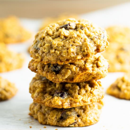 Apple and Raisin Oatmeal Cookies - Recipe photo by atasteofmadness