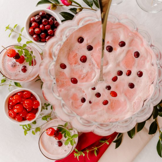 Cranberry Sherbet Punch - Recipe photo by House of Elyn Ryn