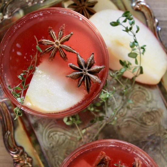 Easy Sparkling Bourbon Apple Punch - Recipe photo by Red Wine Dragons