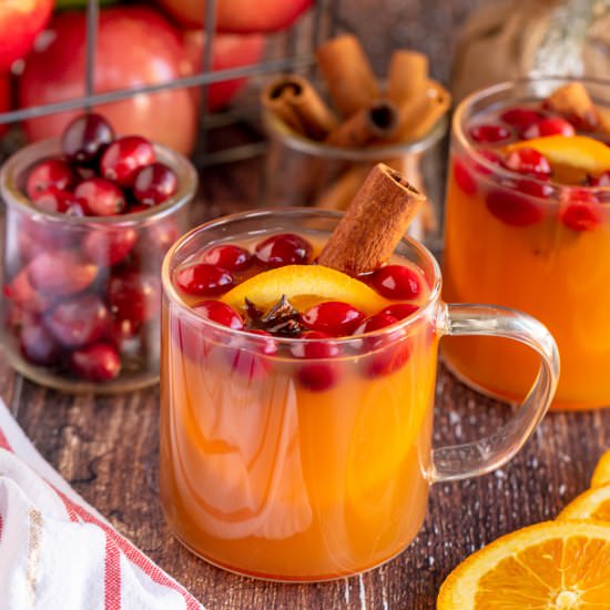 Mulled Apple Cider - Recipe photo by KyleeCooks