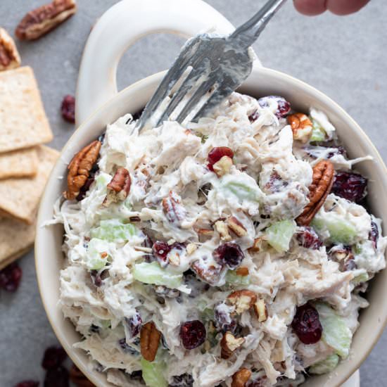 Cranberry Pecan Chicken Salad - Recipe photo by Aredspatula