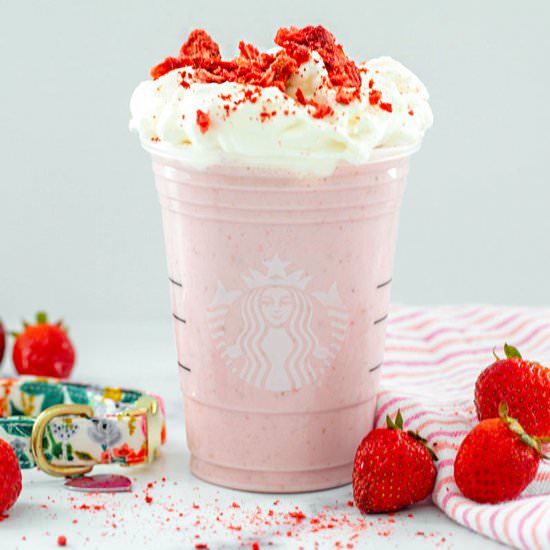 Strawberry Puppuccino - Recipe photo by Wearenotmartha