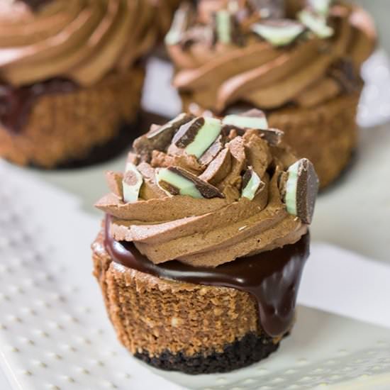 Mini Chocolate Cheesecakes - Recipe photo by spicedblog