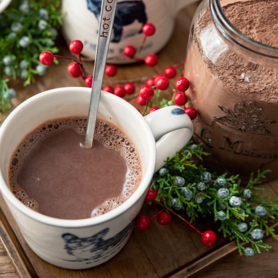 Best Homemade Hot Chocolate Mix - Recipe photo by beyondkimchee