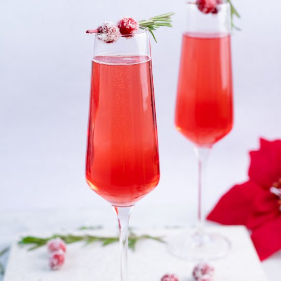 cranberry mimosa - Recipe photo by everyday-delicious.com