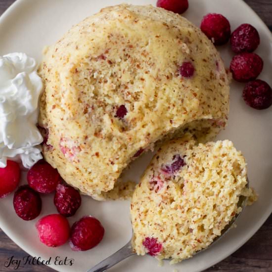 Healthy Mug Cake - Recipe photo by Joy Filled Eats