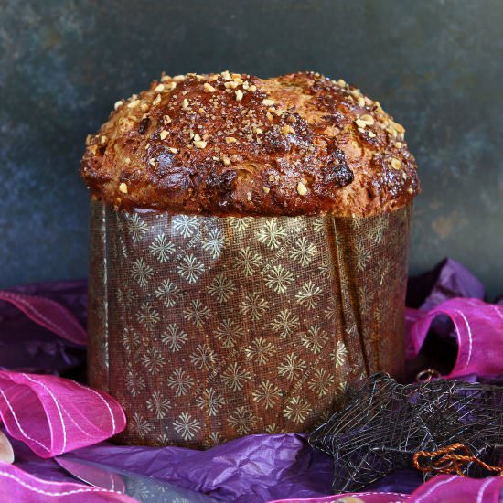 Chocolate Chip Panettone GF - Recipe photo by glutenfreealchemist