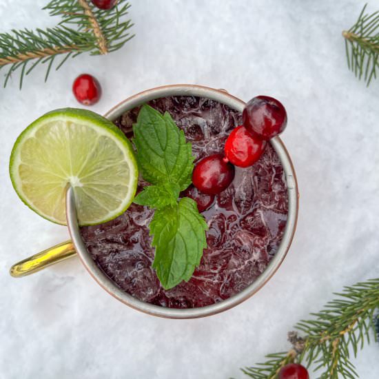 Sumac Cranberry Mule 3 Ways - Recipe photo by HIldaskitchenblog