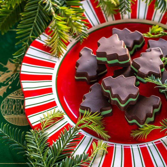 Homemade Andes Mints - Recipe photo by primalwellnesscoach