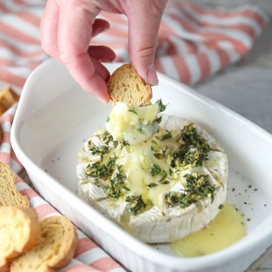 Garlic and Thyme Baked Brie - Recipe photo by Tastefulventure