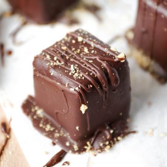 Chocolate Covered Cheesecake Bites - Recipe photo by theforkedspoon