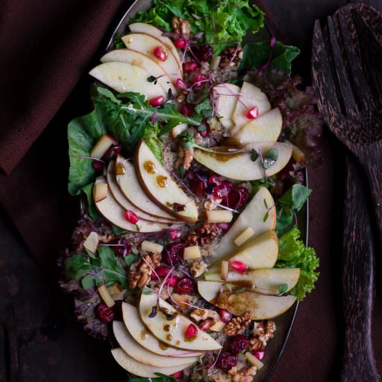 Apple Walnut Salad - Recipe photo by Tashasartisanfoods