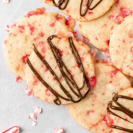 Peppermint Shortbread Cookies - Recipe photo by gingersnapsbakingaffairs