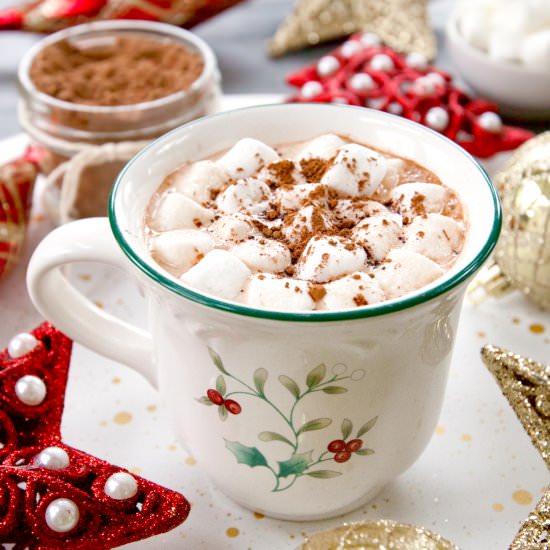 Homemade Hot Chocolate Mix - Recipe photo by browniebites