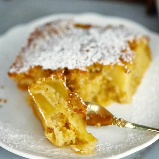 Easy Moist Apple Cake - Recipe photo by BearNakedFood