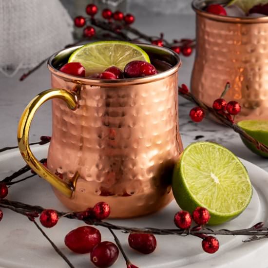 Festive Cranberry Moscow Mule - Recipe photo by The Littlest Crumb