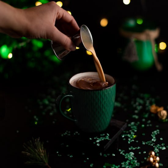 Baileys Hot Chocolate - Recipe photo by The Littlest Crumb