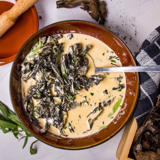 A Delicious Black Trumpet Mushroom - Recipe photo by Devancameron