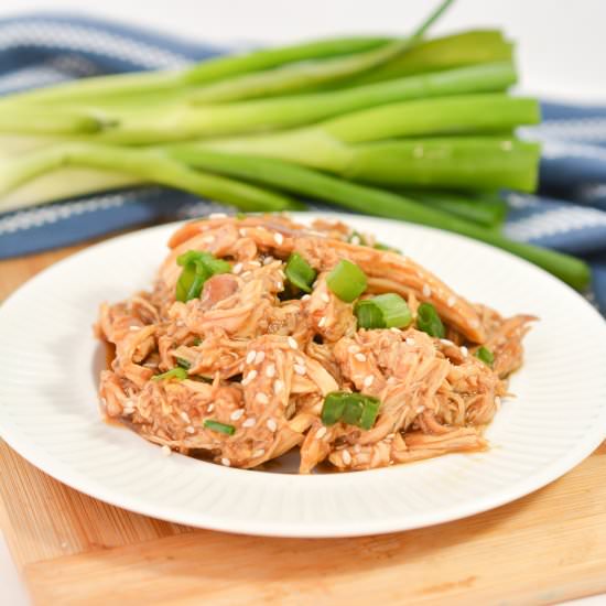 Keto Shredded Teriyaki Chicken - Recipe photo by littlebitrecipes