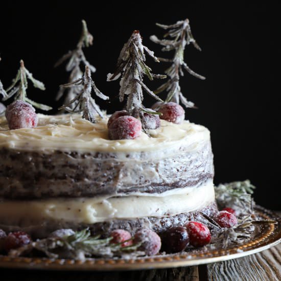 Chocolate Mascarpone Winter Cake - Recipe photo by butternutandsage