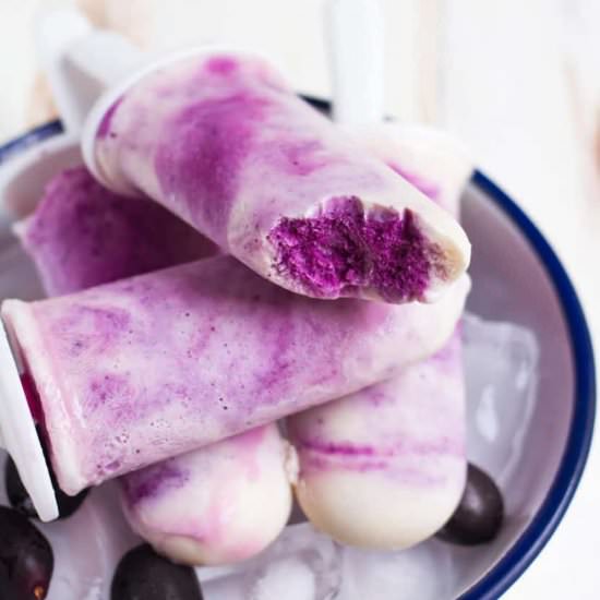 Jamun Yogurt Popsicles - Recipe photo by Tashasartisanfoods