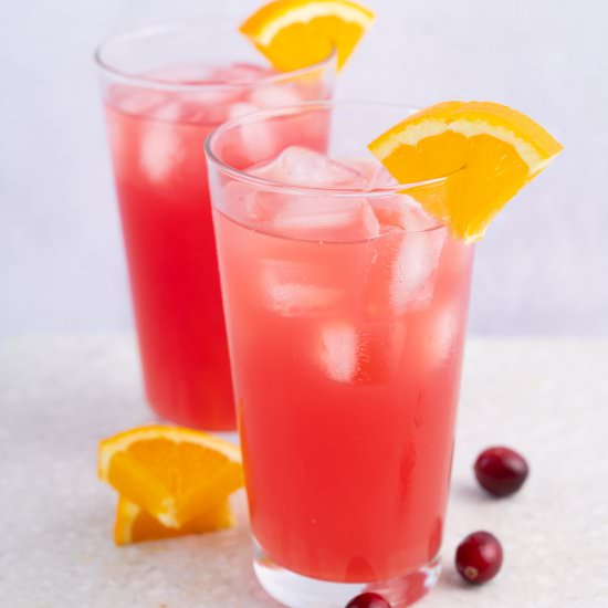 madras drink - Recipe photo by everyday-delicious.com